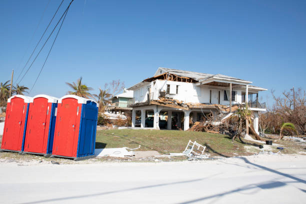 Best Utility Line Clearance  in Freeport, NY